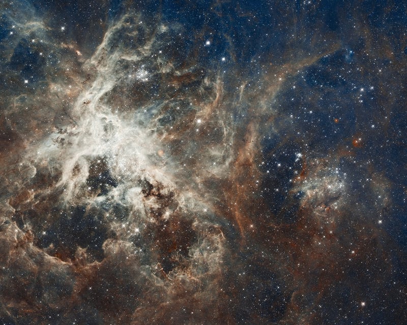 Interstellar Feasts